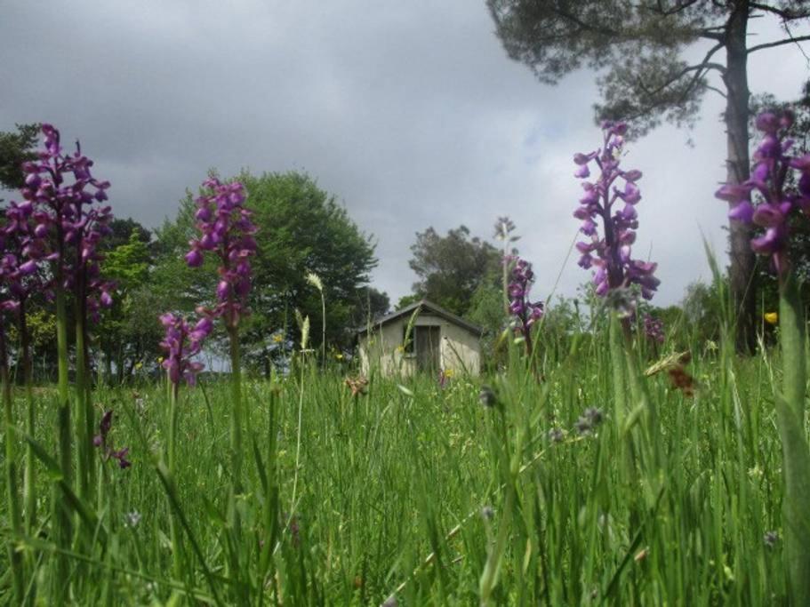 Maisonnette écologique Isolée En Botte De Paille Appartamento Ploërmel