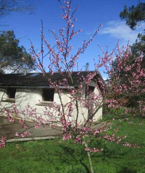 Maisonnette Ecologique Isolee En Botte De Paille * Ploërmel