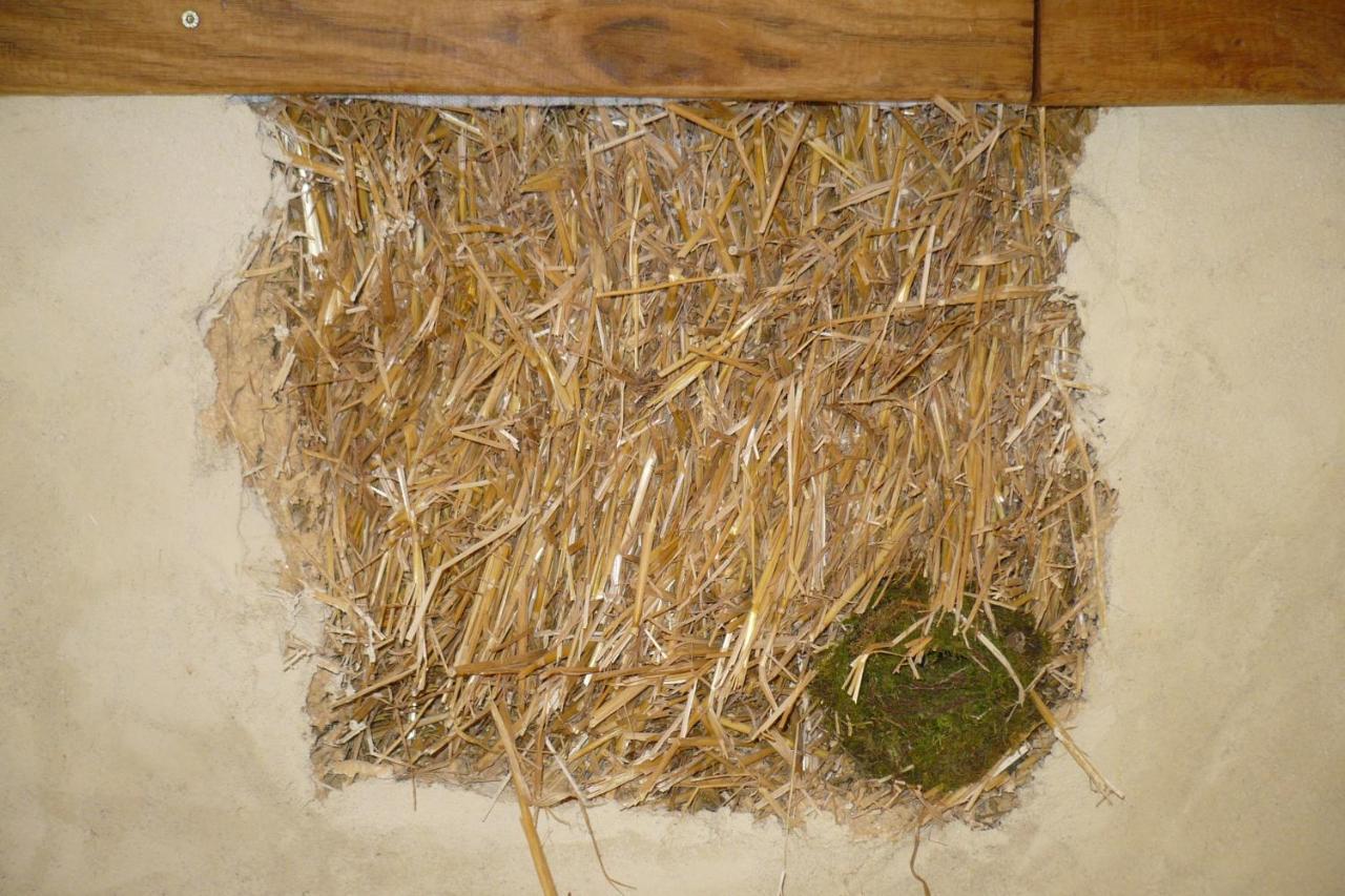 Maisonnette Ecologique Isolee En Botte De Paille Apartment